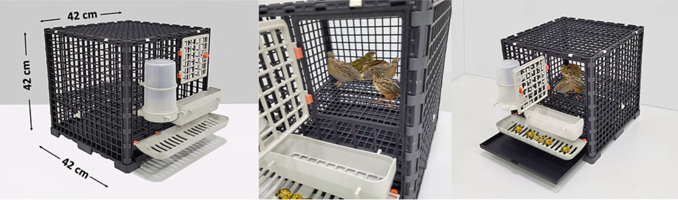 Snímka obrazovky 2026-02-12 o 12.22.35